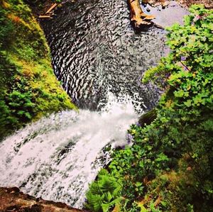 Scenic view of waterfall