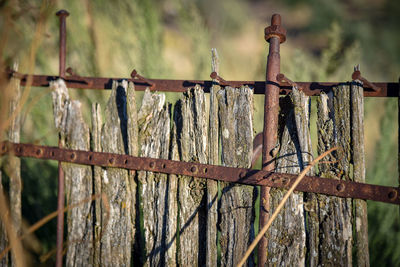 Close-up of barbed wire fence