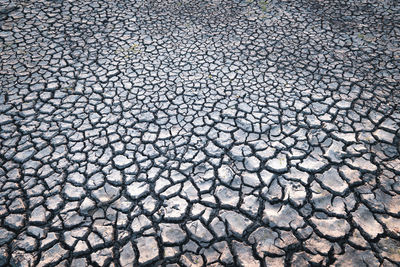 Cracked ground,cray soil,mud crack.cracks on the surface of the earth are altered by the shrinkage 