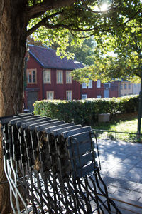 Chairs against trees