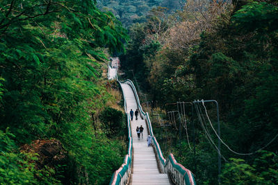 High angle view of people on footbridge amidst trees in forest
