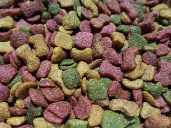 Dry food for our dogs