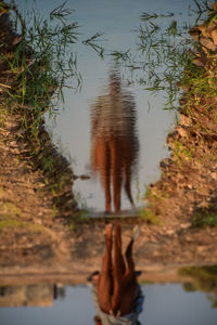 Reflection of man in lake