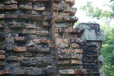 Close-up of stone wall