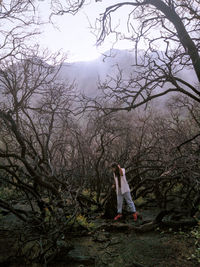 Woman standing by bare tree in forest