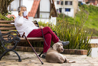 Dog sitting on chair at park