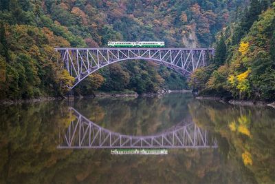 Bridge over river amidst trees during autumn