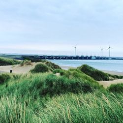 Wind turbines on grassy field