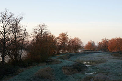 Scenic view of bare trees against clear sky