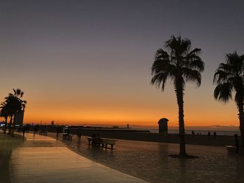 Peaceful walk by the beach during sunset