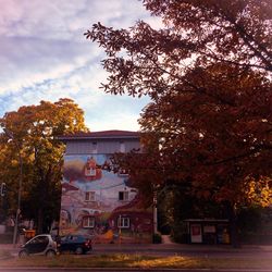 Trees in front of town against cloudy sky