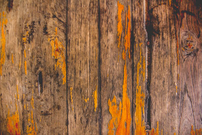 Full frame shot of wood