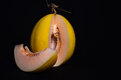 Close-up of fruit against black background