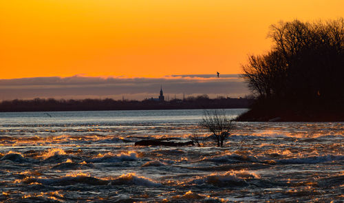 Scenic view of silhouette trees against orange sky during sunset