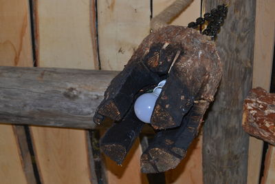 Close-up of clothes hanging on wood