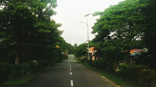 Road amidst trees against sky in city