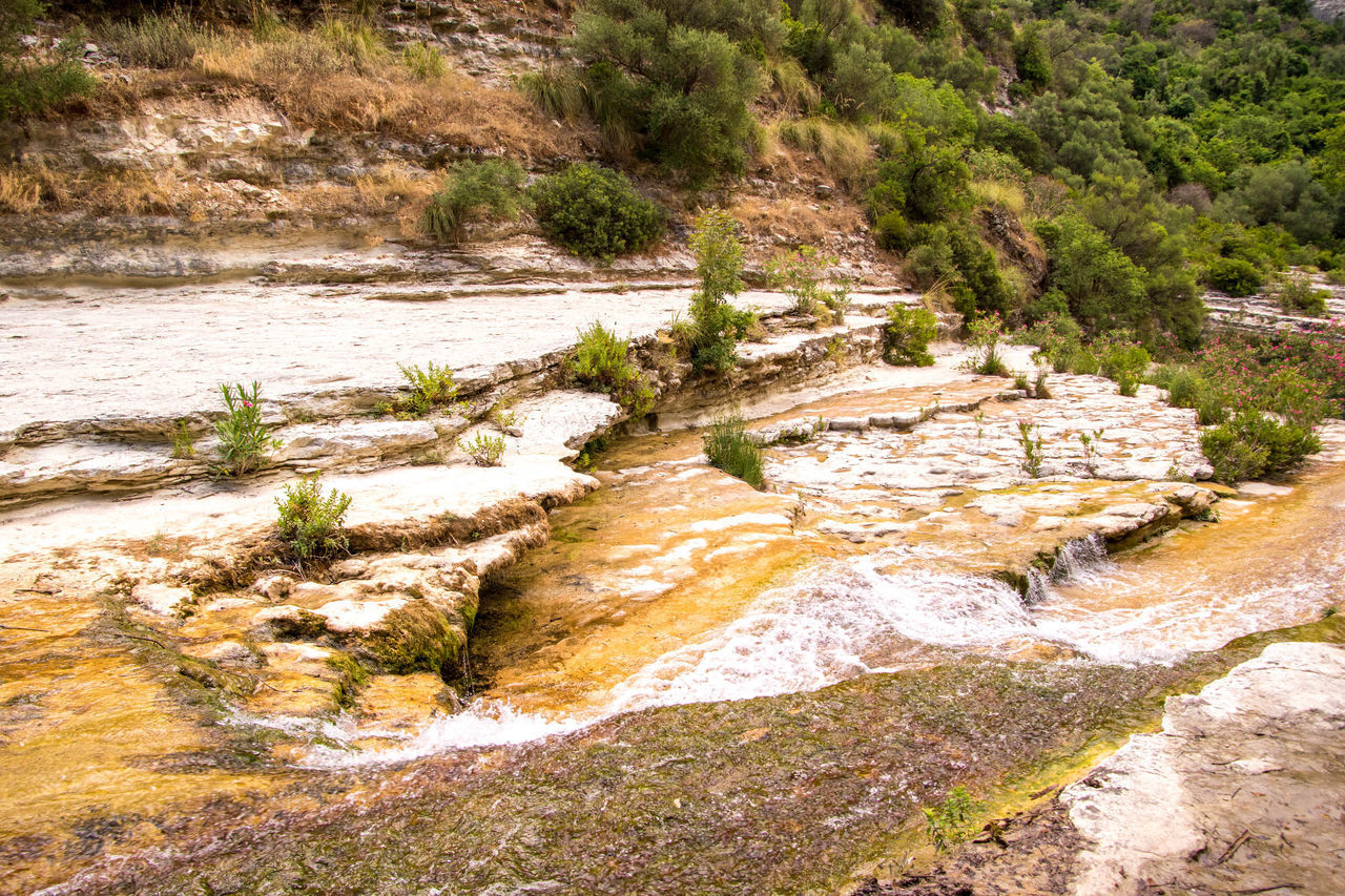 HIGH ANGLE VIEW OF WATER FLOWING THROUGH TREES