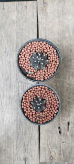 Directly above shot of bread on table