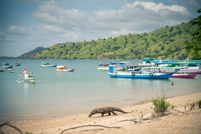 View of boats in sea