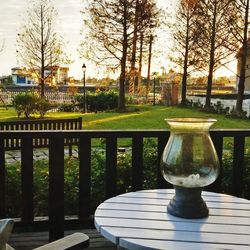 Table and plants in park