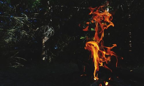 Close-up of bonfire