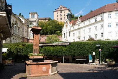 Potted plants by street against buildings in city