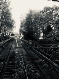 Railroad tracks amidst trees against sky