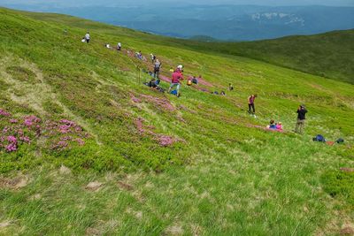 People on hill