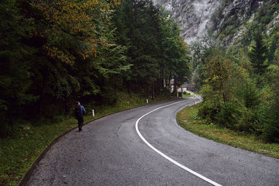 Rear view of man walking on road in forest