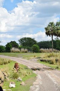 View of dirt road amidst plants on field against sky