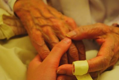 Close-up of cropped hand holding plant