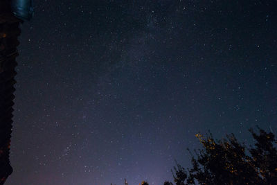 Low angle view of trees against sky at night