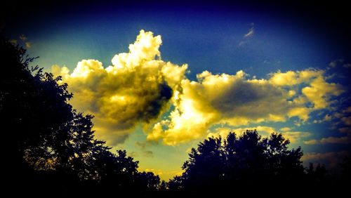 Low angle view of silhouette trees against cloudy sky