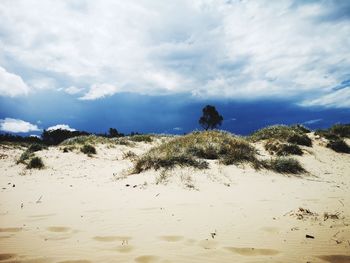 Scenic view of beach against sky