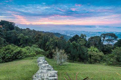 Scenic view of landscape against sky