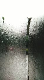 Close-up of wet window