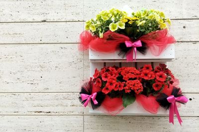 Close-up of pink flower pot against wall