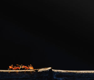 Built structure against clear sky at night