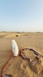 land