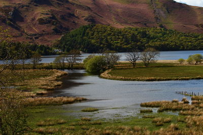 Scenic view of lake and trees