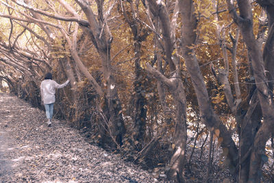 Rear view of man standing in forest