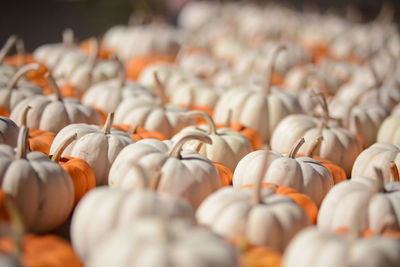 Full frame shot of pumpkins for sale at market