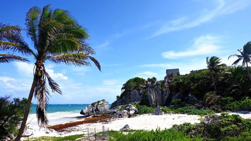 Mayan ruins in tulum, mexico