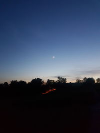 Silhouette trees against clear sky during sunset