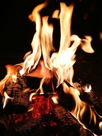 Close-up of bonfire