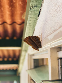 Close-up of dessert on table