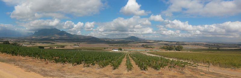 Scenic view of field against cloudy sky