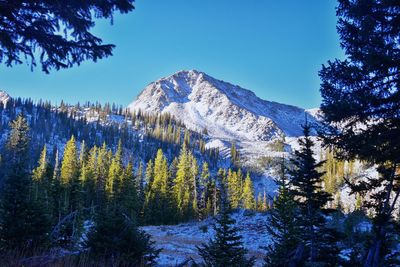 White pine lake trail salt lake valley in little cottonwood canyon, wasatch rocky mountain utah