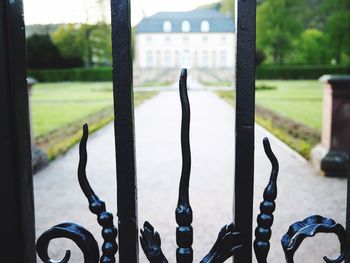 Close-up of grass against blurred background