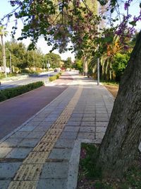 Road passing through trees